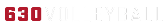 logo-2024_630VBALL WHITE